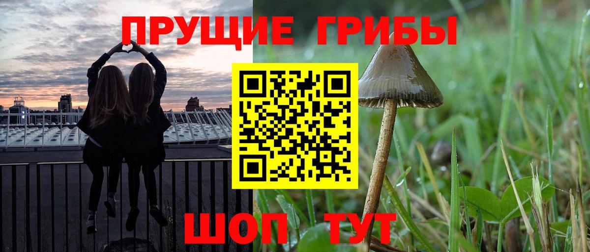 Тулун  Псилоцибиновые грибы MAGIC MUSHROOMS  Псилоцибиновые грибы ЛСД  Вход с VPN 