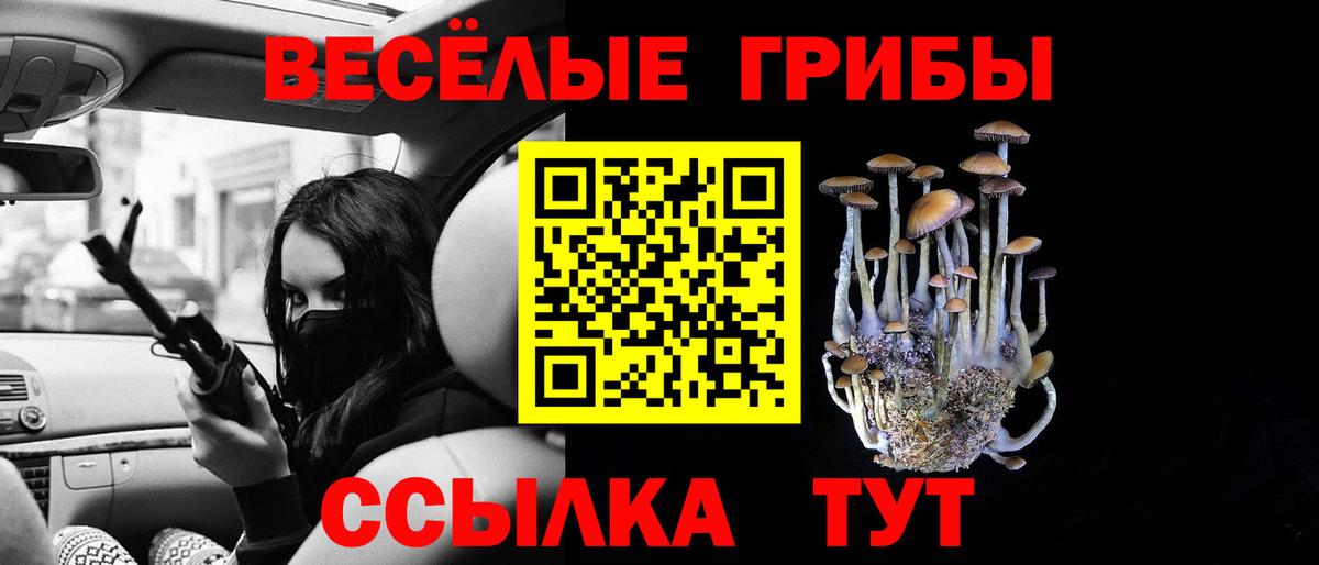 Псилоцибиновые грибы мухоморы Тулун