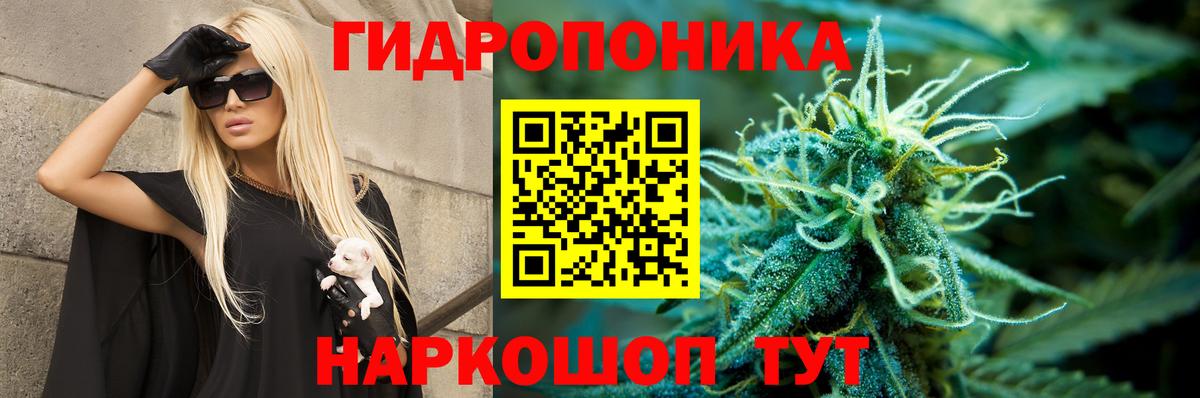 Бошки Шишки ГИДРОПОН  Канабис SATIVA & INDICA  Вход с VPN  Тулун 
